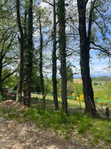 Maisons de vacances L-ecrin du Bonheur : photos des chambres