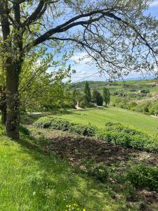 Maisons de vacances L-ecrin du Bonheur : photos des chambres