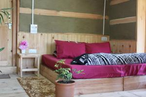 Mysterious Kutla Cottage,Kutla, Tosh