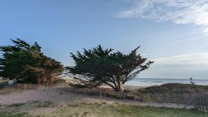 Appartements Sardine argentee Plage a 100m Surf Randos GR 223 Jardin : photos des chambres