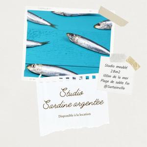 Appartements Sardine argentee Plage a 100m Surf Randos GR 223 Jardin : photos des chambres