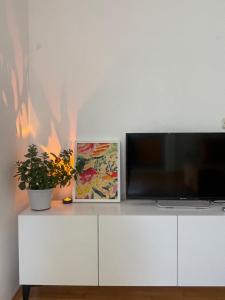 Mint Apartments