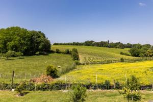 Villas La Girondine - Piscine, billard, vigne et estuaire : photos des chambres