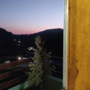 Makot at binsar