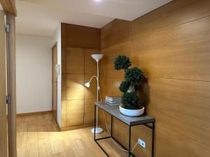 Azores Lava Apartment T3