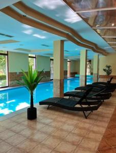 Balaton Wellness Apartman