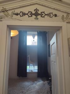 Apartament Piłsudskiego Zacisze Centrum