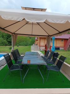 Milica 1 Mezdrejska 87