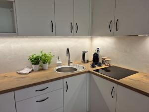 Dąbie Park Apartament