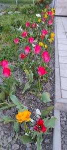 FSQH PARASZTHÁZ Farmhouse