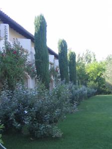 Hotels Olivier Hotel : photos des chambres