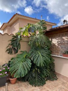 40° Parallelo Guest House img15