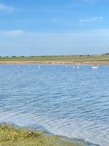 40° Parallelo Guest House img74