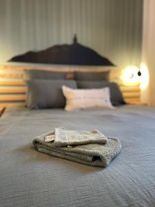 Maisons de vacances Chez NELL gite, piscine chauffee au pied du Ventoux : photos des chambres