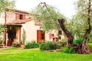 I Glicini Appartamento - Castagneto Carducci