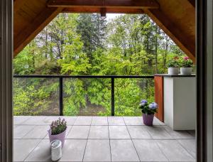 Apartmán A10 v centru Harrachova