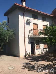 Tra gli ulivi