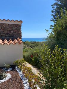 Il nido di Campulongu