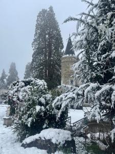 B&B / Chambres d'hotes Chateau Philip : photos des chambres