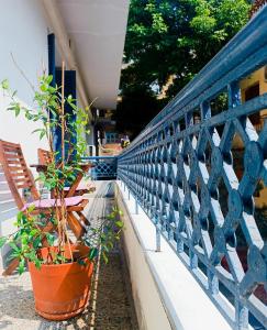 The SPiTi Project 15