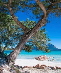 Seaside Elegance 50m from the Beach img39