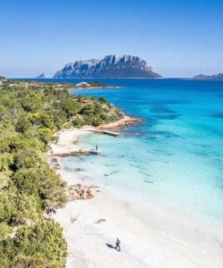 Seaside Elegance 50m from the Beach img37