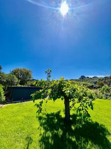 Oasi di pace e Relax img10