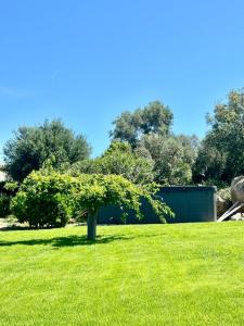 Oasi di pace e Relax img14