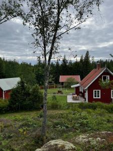 Familien- und hundefreundliches Schwedenhaus in Alleinlage