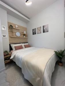 Hi speed wifi, city centre flat