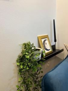 Hi speed wifi, city centre flat