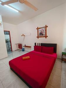 Homestay Budget Kuala Terengganu Tulipsia House