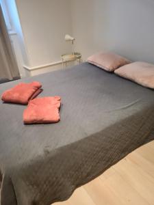 Appartements Le SAINT LEGER - Chambery centre : photos des chambres