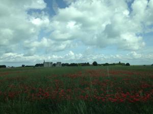 Villas Mamaisondouce : photos des chambres