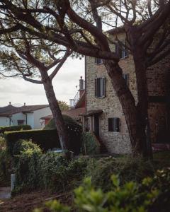 Podere di Montecchio - Le Andane