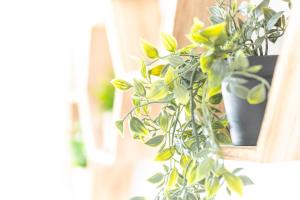 Casa Poniente | Acogedora Casa en Casco Histórico