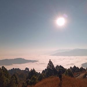 Pahaadi House Homestay