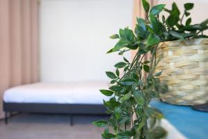 Appartements Le Terminus Gare de Tours : photos des chambres