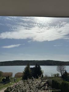 Apartamenty i pokoje z widokiem na jezioro Wielewskie