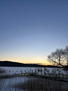 Apartamenty i pokoje z widokiem na jezioro Wielewskie