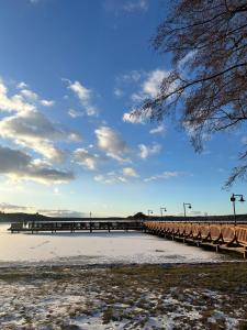 Apartamenty i pokoje z widokiem na jezioro Wielewskie