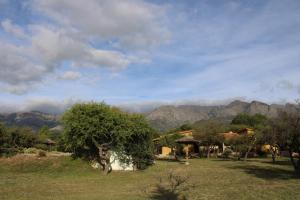 Las Acacias Suites