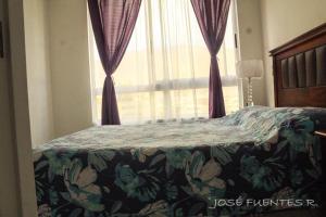 Bulnes labbe iquique departamento completo