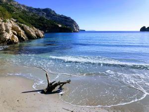 Appartements Marseille, nature and the good life : photos des chambres