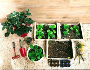 Appartements Marseille, nature and the good life : photos des chambres