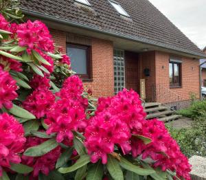 Ferienhaus Polley