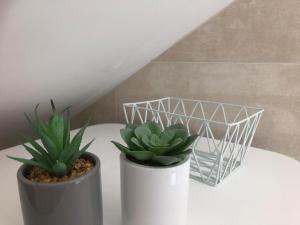 Appartements Gare a pied Escale Authentique aux Portes de Paris : photos des chambres