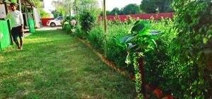 AJ Vacational Villa Rajgarh, Alwar