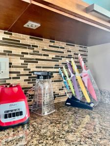 Oceanview Condo - PuntaArrocito C201