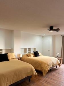 Habitacion Berlin en The Green Door